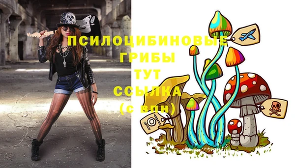 кокаин Богданович