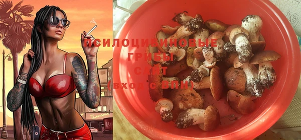 ГАЛЛЮЦИНОГЕННЫЕ ГРИБЫ Богородицк