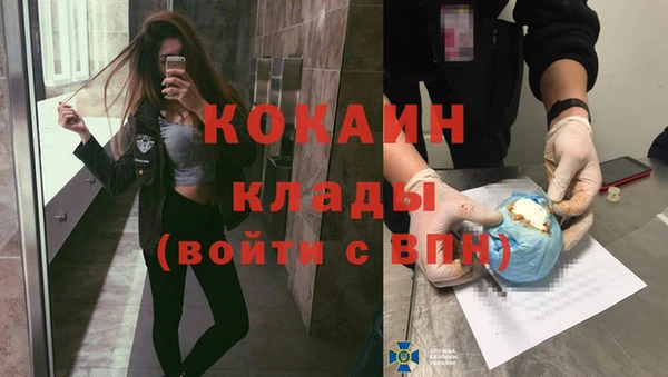 крисы Богородск