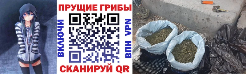 Галлюциногенные грибы MAGIC MUSHROOMS Купино